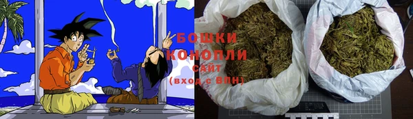 СК Арсеньев