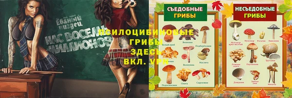 СК Арсеньев