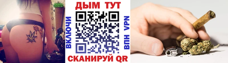где купить   Дорогобуж  Марихуана индика 